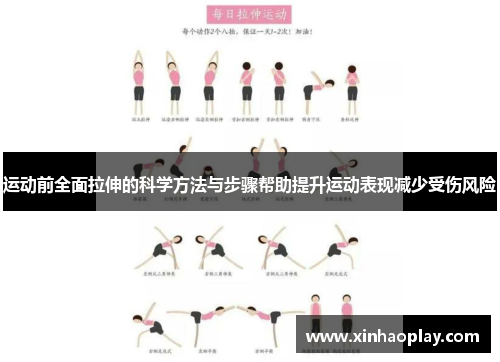 运动前全面拉伸的科学方法与步骤帮助提升运动表现减少受伤风险