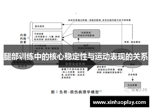 腿部训练中的核心稳定性与运动表现的关系